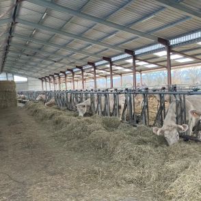 Hangar Solaire réalisé par Triangle energie Monopente