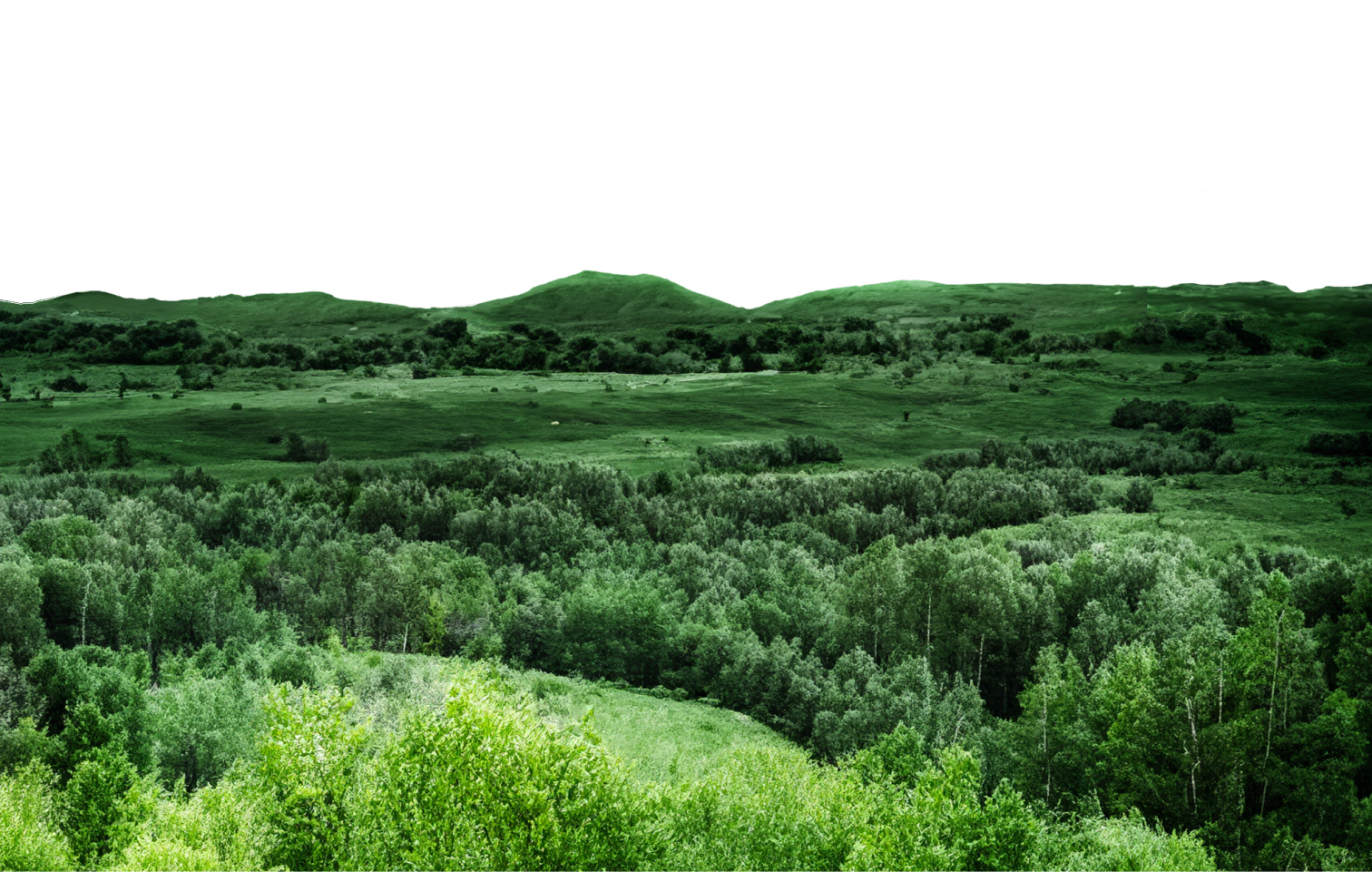 image d'une vallée de verdure en campagne française près de Triangle enraie dan sel Loir et cher